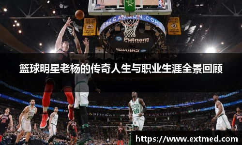 篮球明星老杨的传奇人生与职业生涯全景回顾